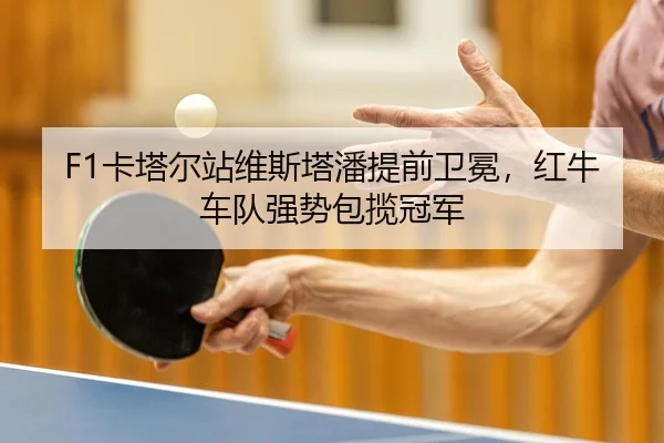 F1卡塔尔站维斯塔潘提前卫冕，红牛车队强势包揽冠军
